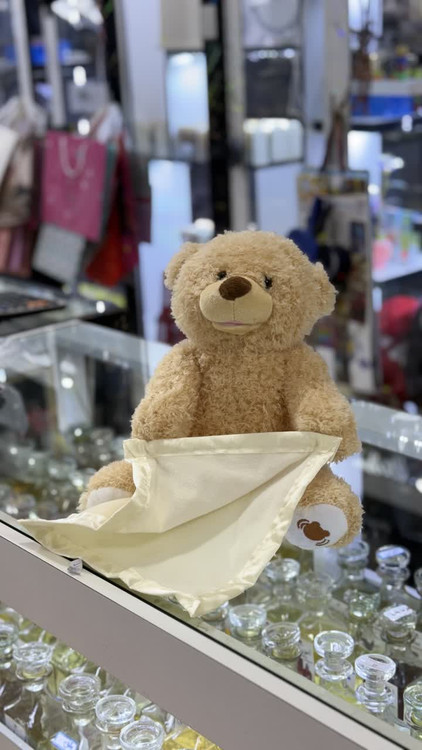 خرس دالیموشه گاند (Gund Peek-A-Boo Bear) یک عروسک پولیشی است که با حرکت دادن پتویش به بالا و پایین، بازی دالیموشه را انجام میدهد و صحبت میکند. این خرس معمولاً دارای صدای واضح و بلند و آهنگهای متنوع است.